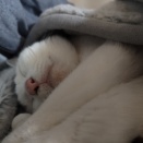 更新が減っていてすみません。
