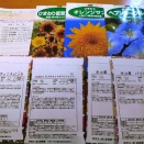 春の種採り＆夏花の種まき