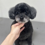 香川県宇多津市　ワンラブイオンタウン宇多津店blog