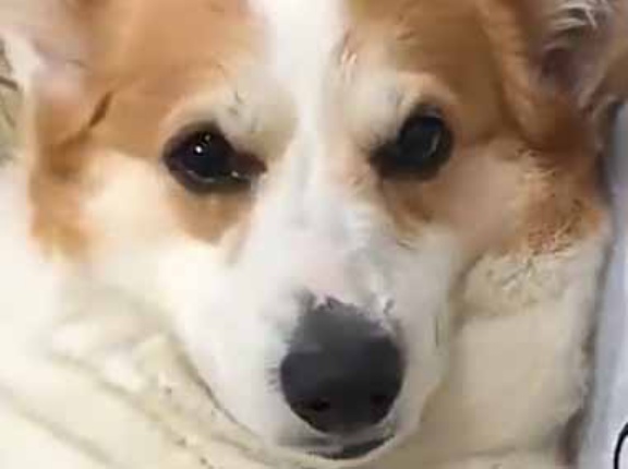 うちには２つのマッサージ器がある。ここに当てるのが一番だ♪ → ふたりはそれぞれこうします…