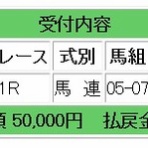 ローリスクのころがし競馬予想ブログ：コロガシ競馬