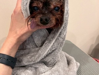 あと何回？って考えちゃった…