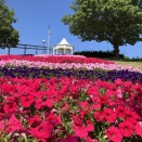 「国営明石海峡公園」（淡路市）