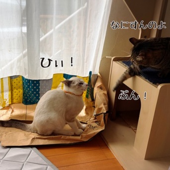 加害者であり被害者