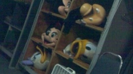 ディズニーランドで働いてたけどミッ