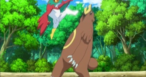 ポケモンxy あにこ便