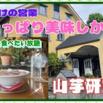 やじきたの食べたい放題！