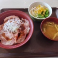 すき家の新メニュー『ローストポーク丼』が美味い。飯田市『すき家　153号飯田IC店』