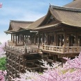 【画像】外国人観光客で溢れた清水寺、もうめちゃくちゃｗｗｗｗ