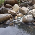 地熱地帯の渓流（後編）