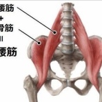 コンディショニングトレーナー小林さくらのブログ〜エッセンシャルトーク〜