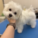 2026/02/18のトリミング🧡