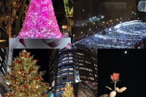 英語発音ミューズのしごと道