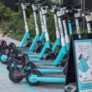 Luupを批判してる奴が馬鹿丸出し過ぎて笑えない