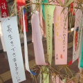 令和７年七夕の日