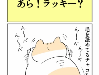 あら！ラッキー？