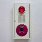 五十番食品★あととり娘の社長日記