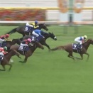 【競馬】2024ヴィクトリアマイルのテンハッピーローズってなんで200倍もついたの？