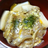 『木の葉丼・温玉カレー』の画像