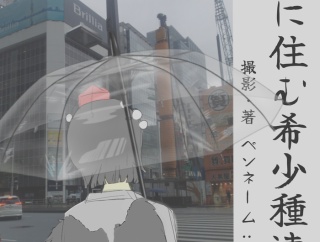 【退屈な日常に飽きあき】都会に住む希少種達