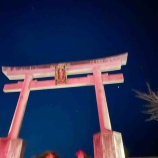 『本年もよろしくお願いします』の画像