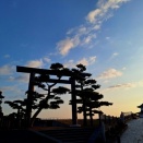 viaggio in auto o Shinkansen