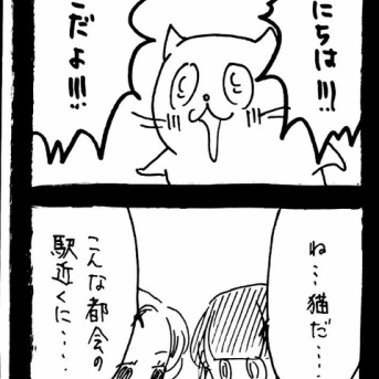 どうしても保護猫を迎えたかった知人の話29