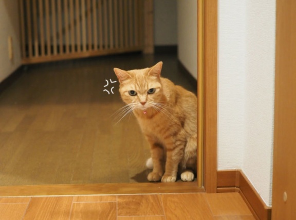 まだ？