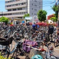 今回は、5/17(日)に「第59回〝福山ばら祭2026〟」行きのGONsanでした(^.-)☆(06)