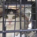 不幸な命を増やさないために