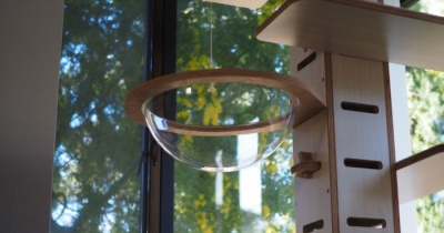 今年は無理だけど…