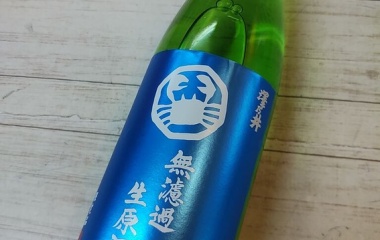 �ذ��߱����Хå���٤β���