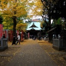 日本（１１２）　東京　雑司ヶ谷鬼子母神堂