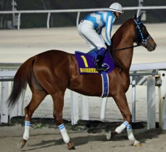 古豪たちの挑戦、次世代も成長中