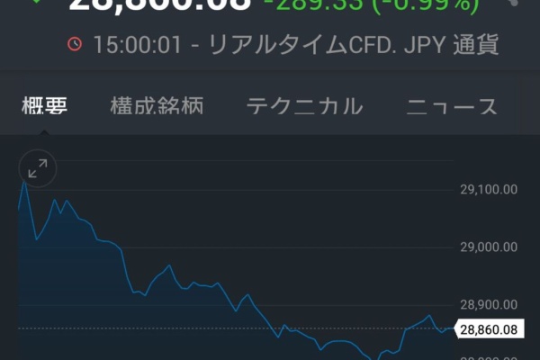 Snowfieldの日本株投資 アメリカ株投資 21年05月