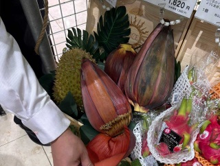 バナナの花って食べられるんだ！ほんのり甘くて、芯のないキャベツみたいな味なんだって！デパートってところは、ほんとすごいわっ！