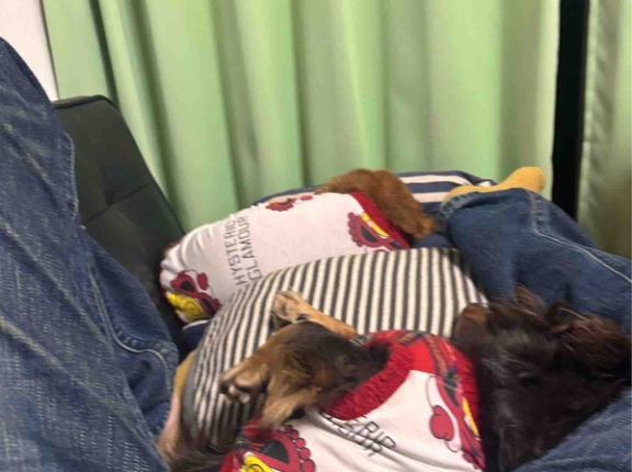 ほぼ休刊。あしたから頑張る。