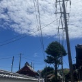本をつくっています。
