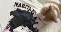 しまむらで即完売した競走馬グッズが届きました～♪