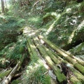 船山
