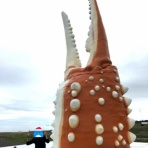 水族館に行ってまいります。