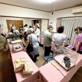 ねこの譲渡会 《7月13日(日)》