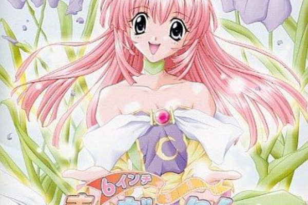 【SSソフト】６インチまいだ〜りん Amazon.co.jp: 6インチまいだーりん : PCソフト