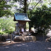 【岡山】　湯原温泉で、はんざきに出会う