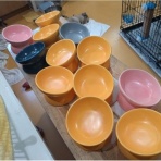 NPO犬猫みなしご救援隊・代表ブログ・みなしご庵へようこそ