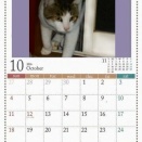 猫に小判を与えたら。 埋蔵金：千九百九拾伍両　こぉ～して親子ぉは消えるぅのですぅ・・・。