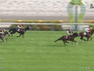 【競馬】タイダルロック　骨折の疑い・・・