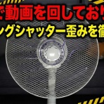 いきもの大好き！chunchunblog