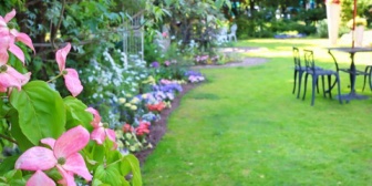 【家を建てる予定】記念に植えたい木があるんだが、どれがおすすめかな？