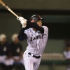 根尾くんがハムと相思相愛という事実 	